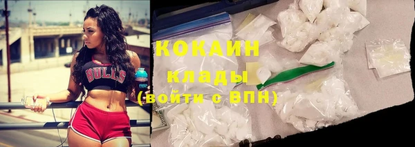 дживик Богданович