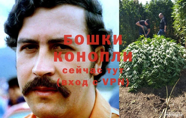 мдпв Богородск