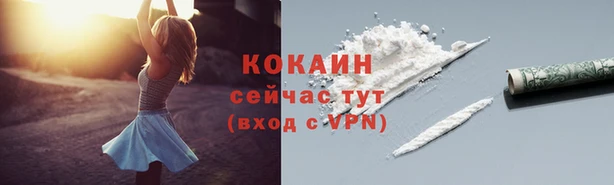 дурь Богородицк