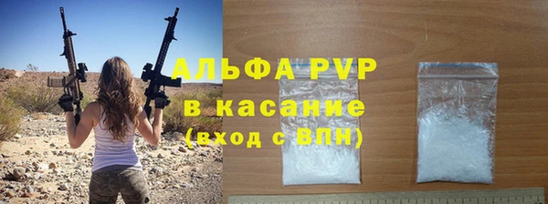 сатива Сосновый Бор