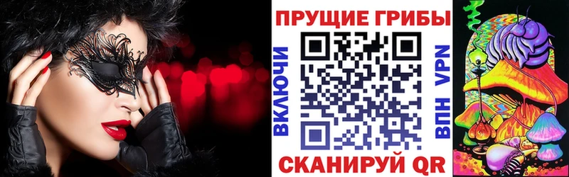 кракен ONION  цены   Бугульма  это формула  Псилоцибиновые грибы Psilocybe 